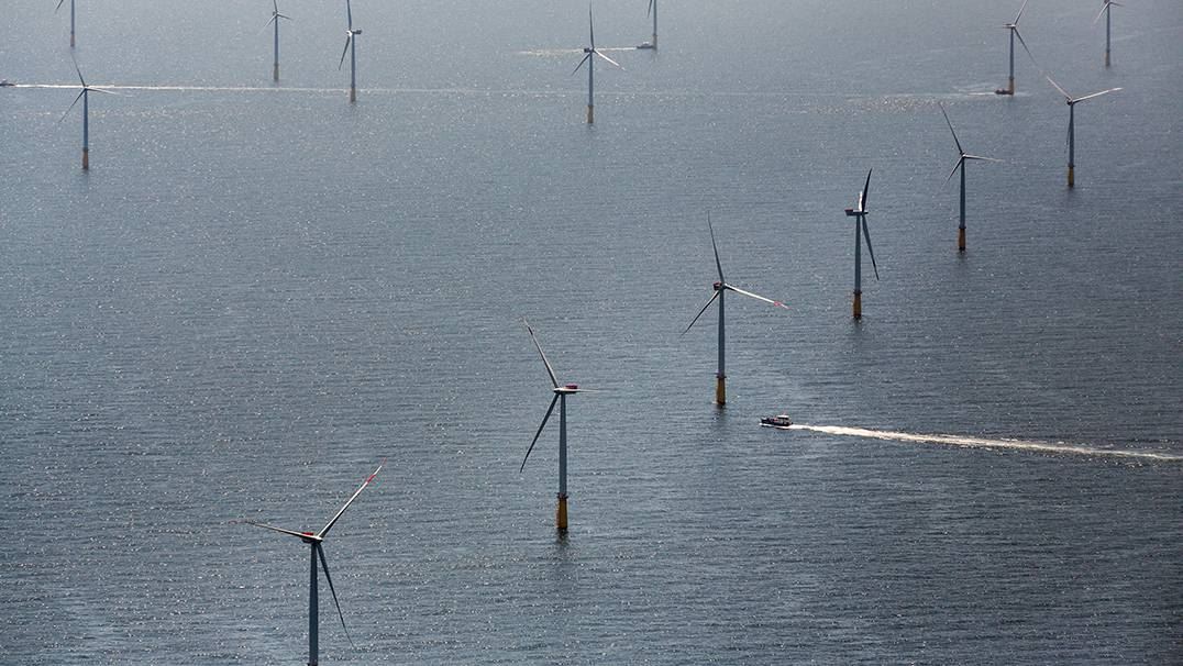 DanTysk offshore wind power plant
